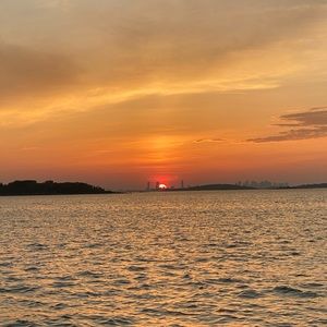 Meet your Posher, Lizzie